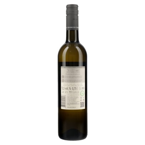 dt_sub1-beli-pinot