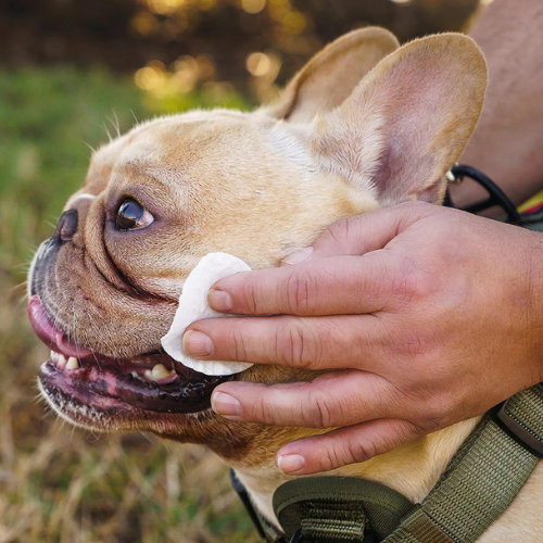 naturaldogcompanywrinklewipes2